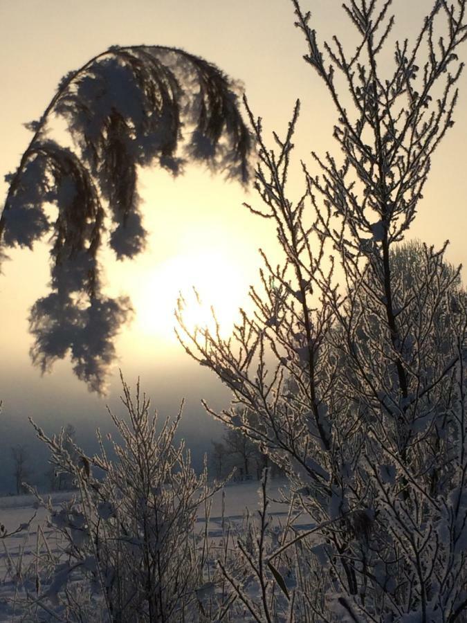 Апартаменты Zur Lieben Sonne Фильцмос Экстерьер фото