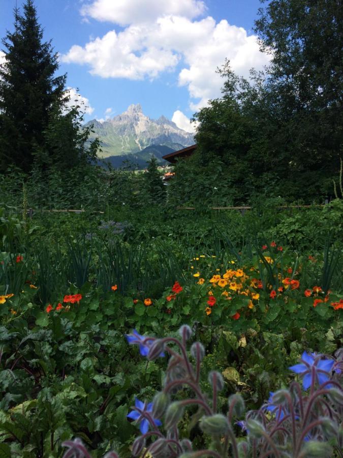 Апартаменты Zur Lieben Sonne Фильцмос Экстерьер фото